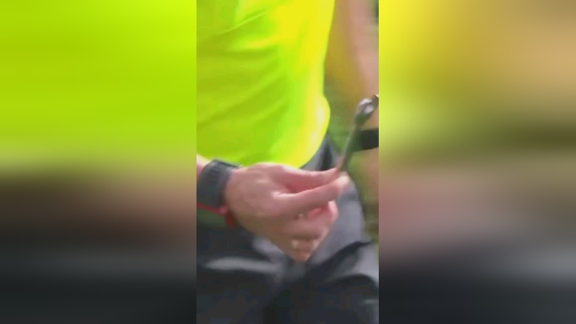 趋势